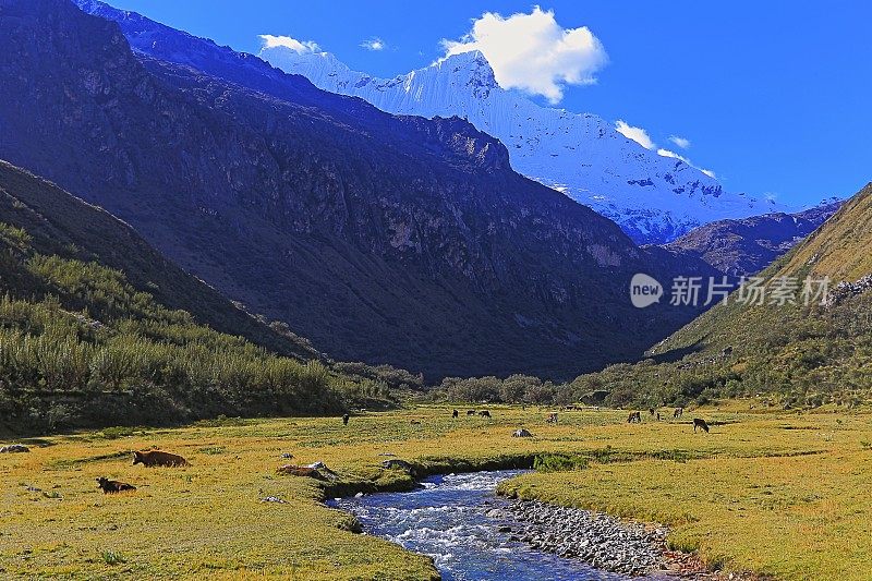 布兰卡的Cordillera河与Chacraraju (6108m)――秘鲁安第斯山脉的Ancash